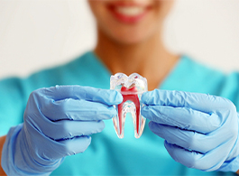 Endodontia