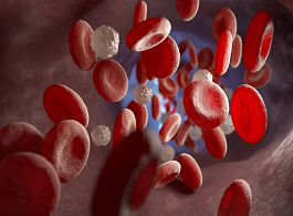 Hemostasia, Hematopoiese e Coagulação