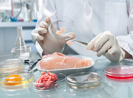 Microbiologia dos Alimentos