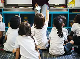 As práticas das linguagens nas salas de educação infantil